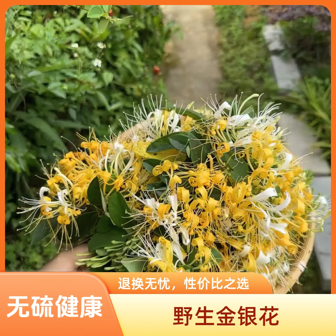 野生金银花特级客家山银花泡水清火凉茶无硫