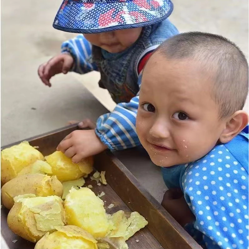 9斤甘肃定西粉面土豆新鲜挖当季黄皮黄心洋芋农家蔬菜好吃营养5斤