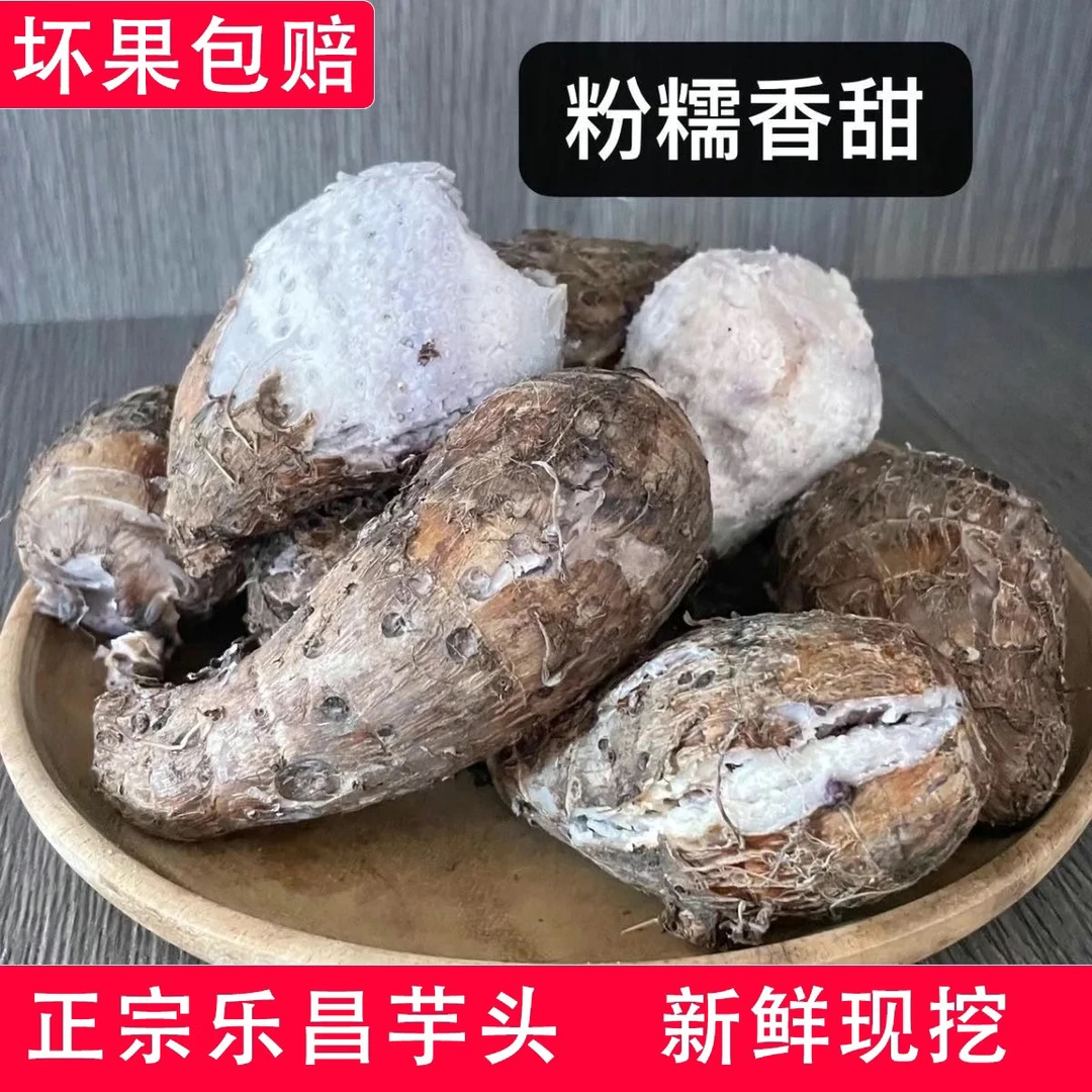 粤北芋头仔现挖新鲜乐昌香芋苗韶关特产炮弹小芋头香芋仔槟榔香芋