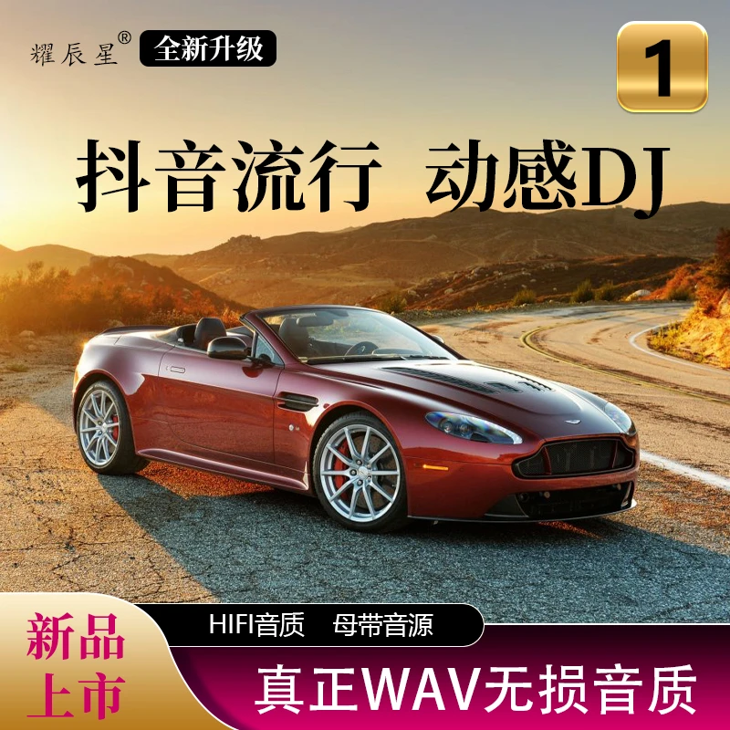 【新品上市】主打抖音流行【新歌热歌】动感DJ酒吧舞曲车载音乐真无损