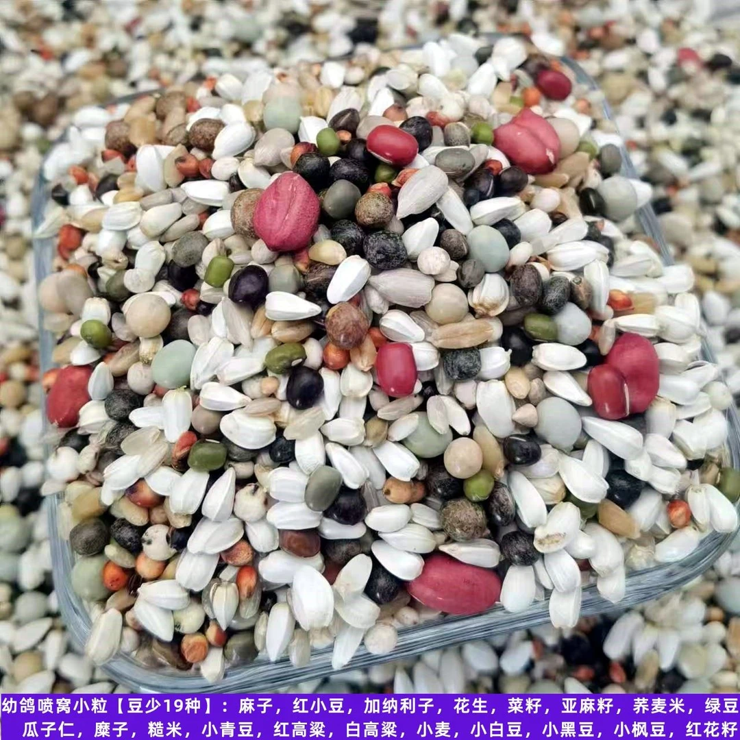 优质鸽粮无小麦鸽粮鸽子饲料信鸽赛鸽用品幼鸽鹌鹑种鸽营养赛飞粮