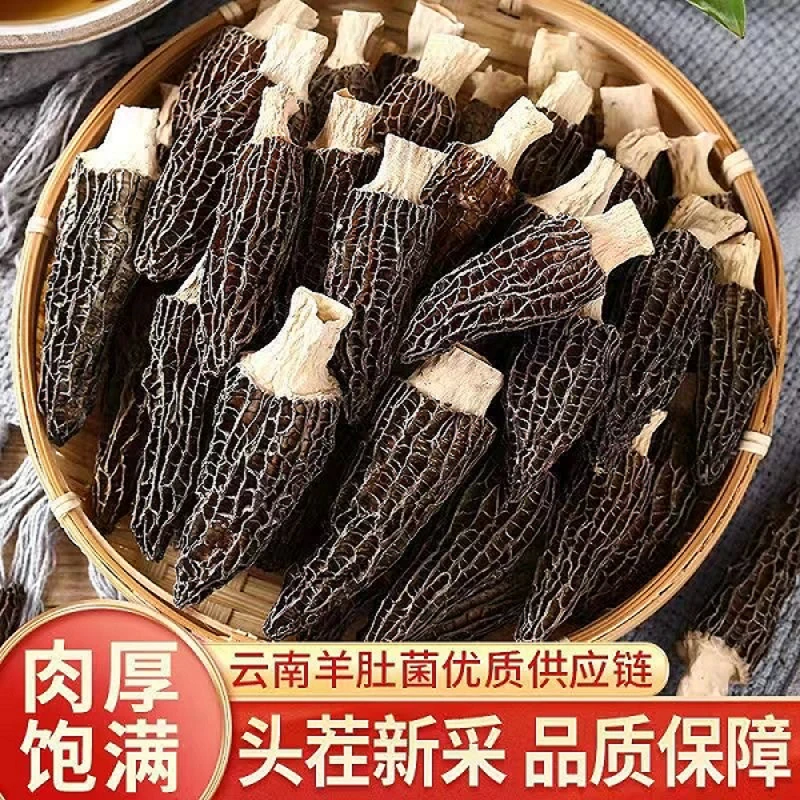 【无熏硫无染色】连山田菌菇特产云南炒菜煲汤营养美味羊肚菌干货