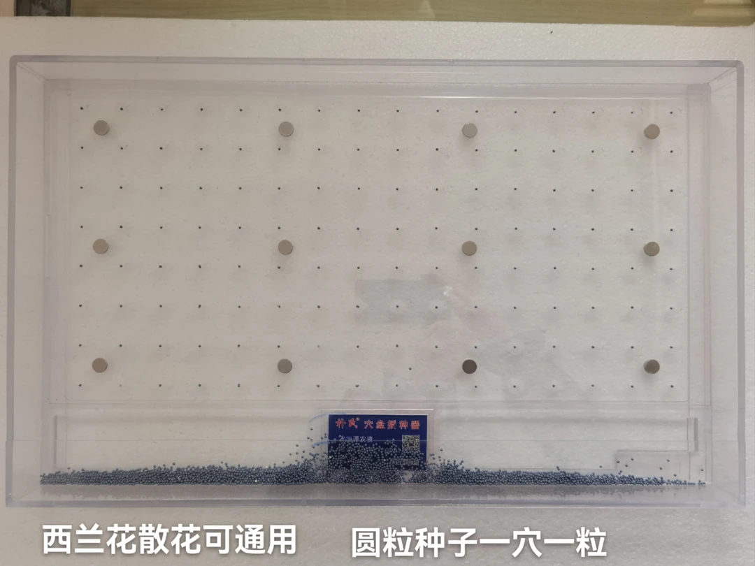 油菜西兰花散花甘兰穴盘播种器漂盘可根据尺寸定做专业生产厂家