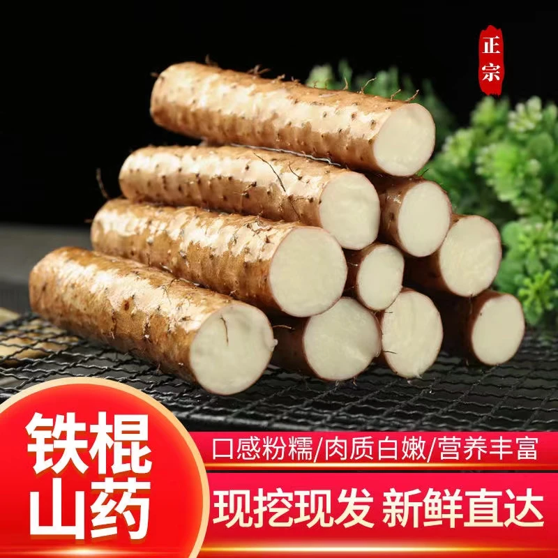 1铁棍山药粉糯小白嘴淮山药产地直发垆土种植新鲜带土发货50-70