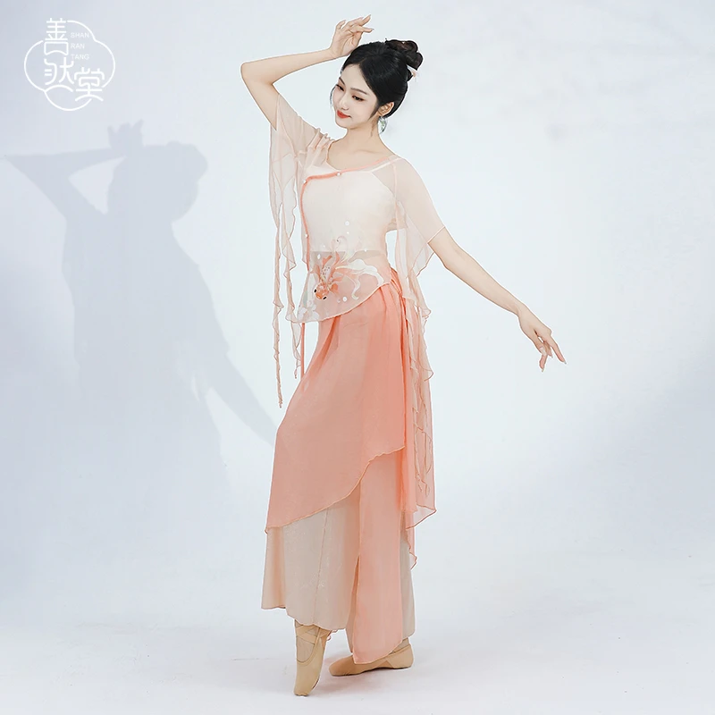 善然堂夏季新款古典舞蹈练功服飘逸女中国舞锦鲤仙气纱衣古风演出