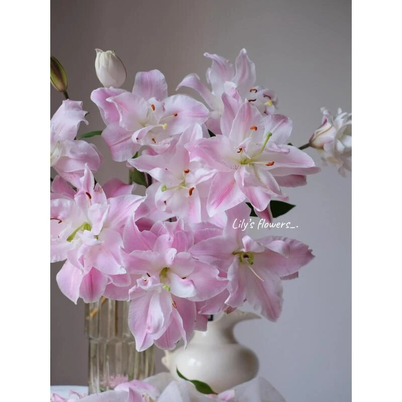 双钻重瓣香水百合（一单冷链）