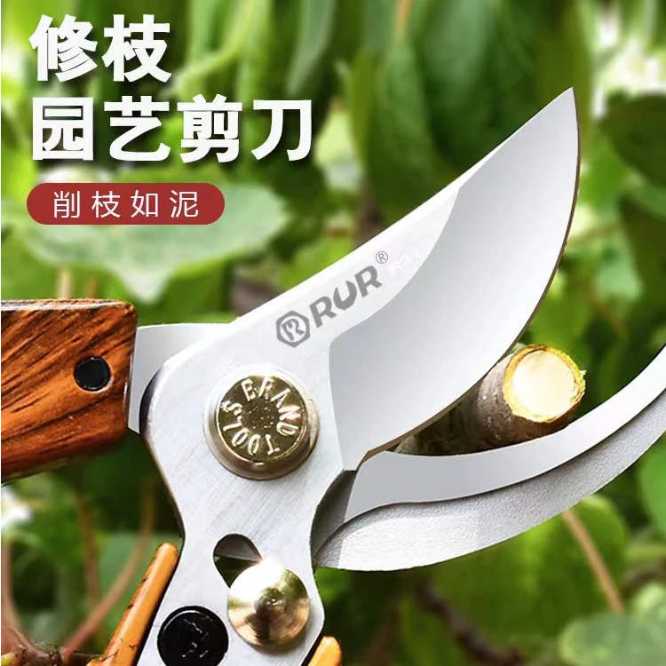 园艺剪刀 鲜花切支专用