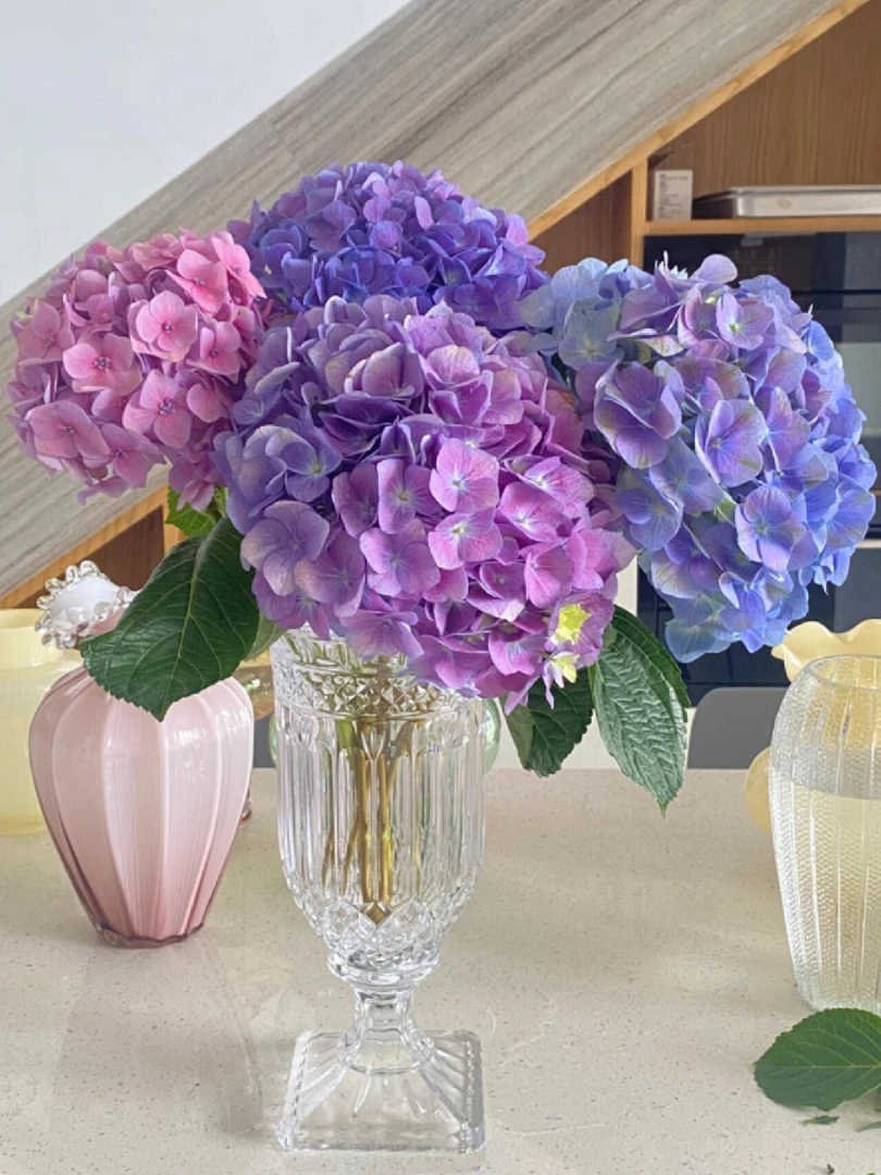 精品绣球（一单冷链 两单空运）