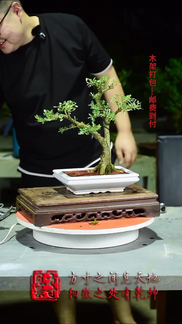 【闪购商品】红陶20CM（含）-50CM（不含）013