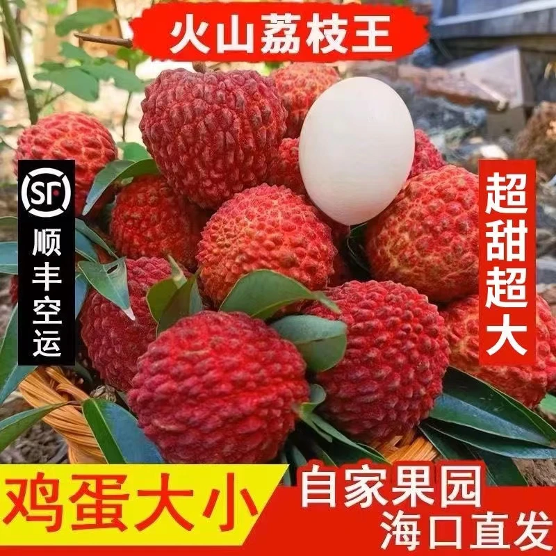 海南荔枝火山口火山岩荔枝王新鲜水果当季妃子笑桂味荔枝时令水果