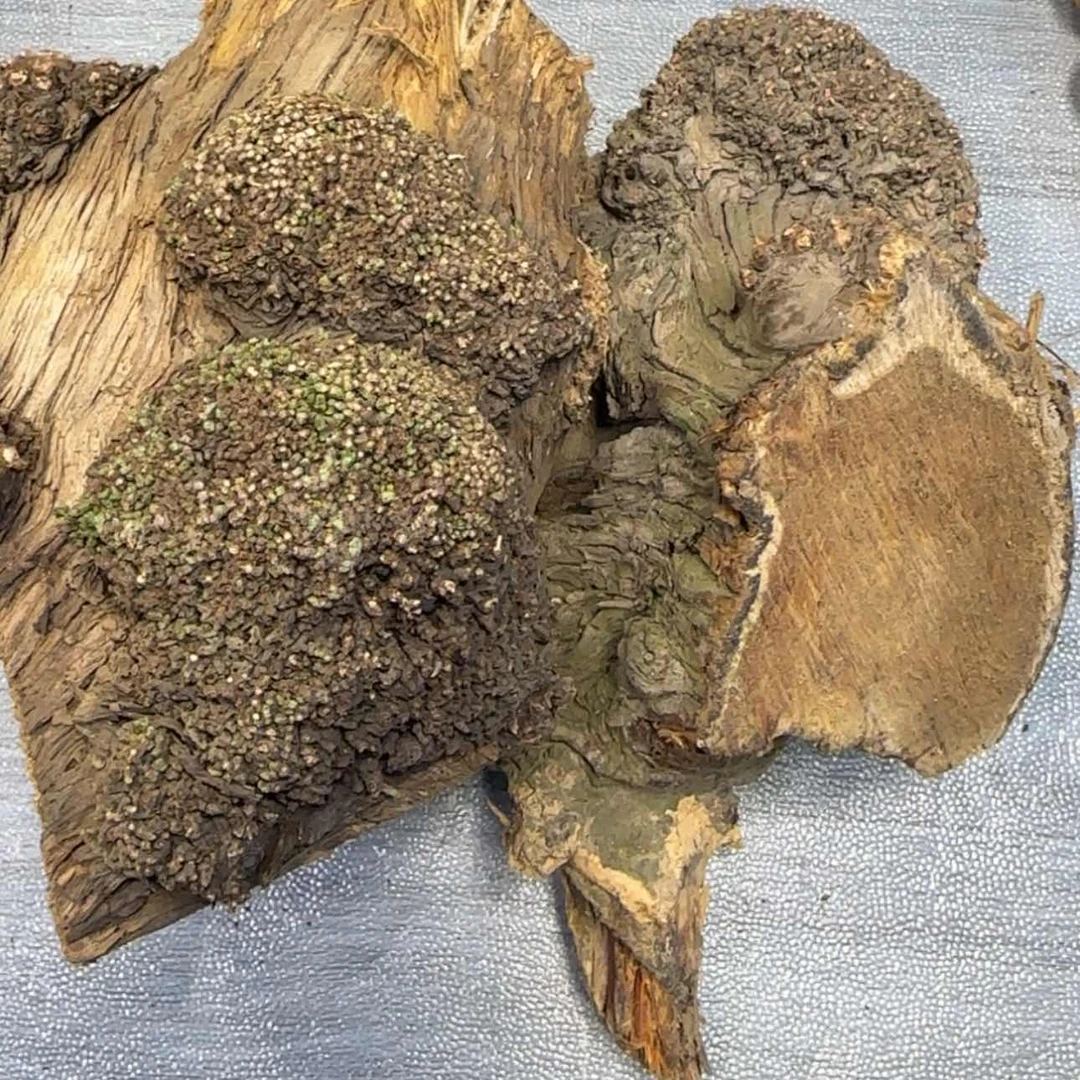 【闪购商品】文玩核桃吊坠土*侠