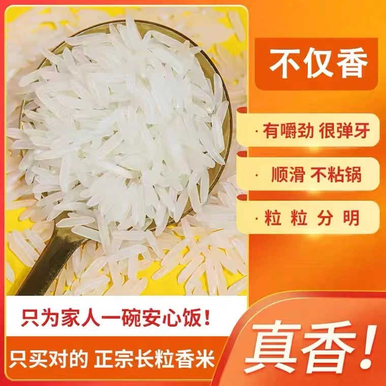 2024新米广西猫牙香米新大米农家长粒香软糯丝苗米10斤/20斤