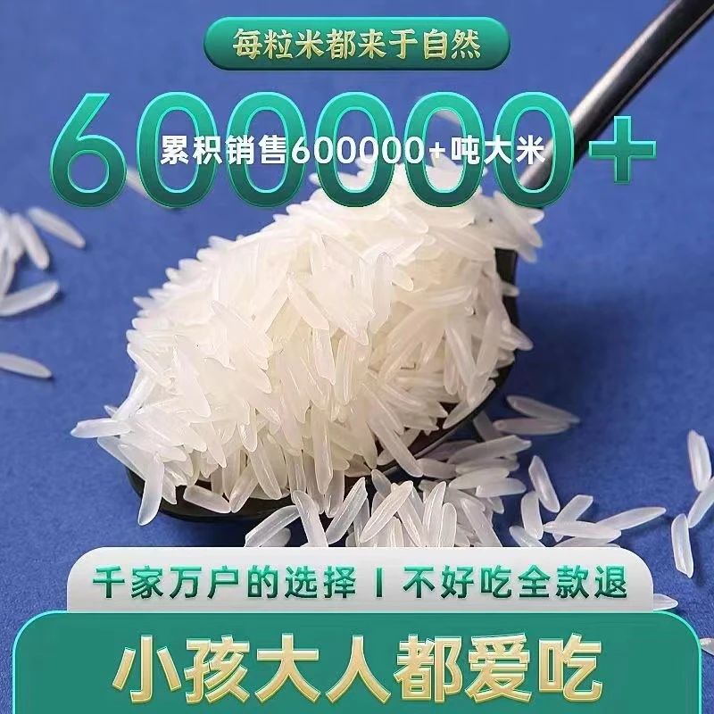 广西猫牙米2025当季新米长粒香大米农家生态米不抛光不打蜡0添加