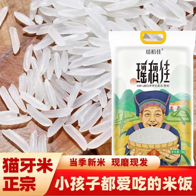 瑶稻佳真空包装正宗猫牙米新米农家长粒香大米5kg软糯香米10 50斤
