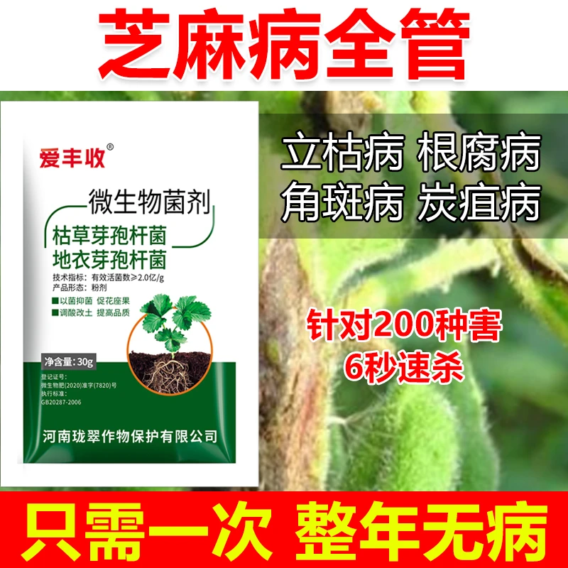 芝麻杀菌剂芝麻病全治芝麻专用药芝麻微生物菌剂芝麻枯萎病叶斑病