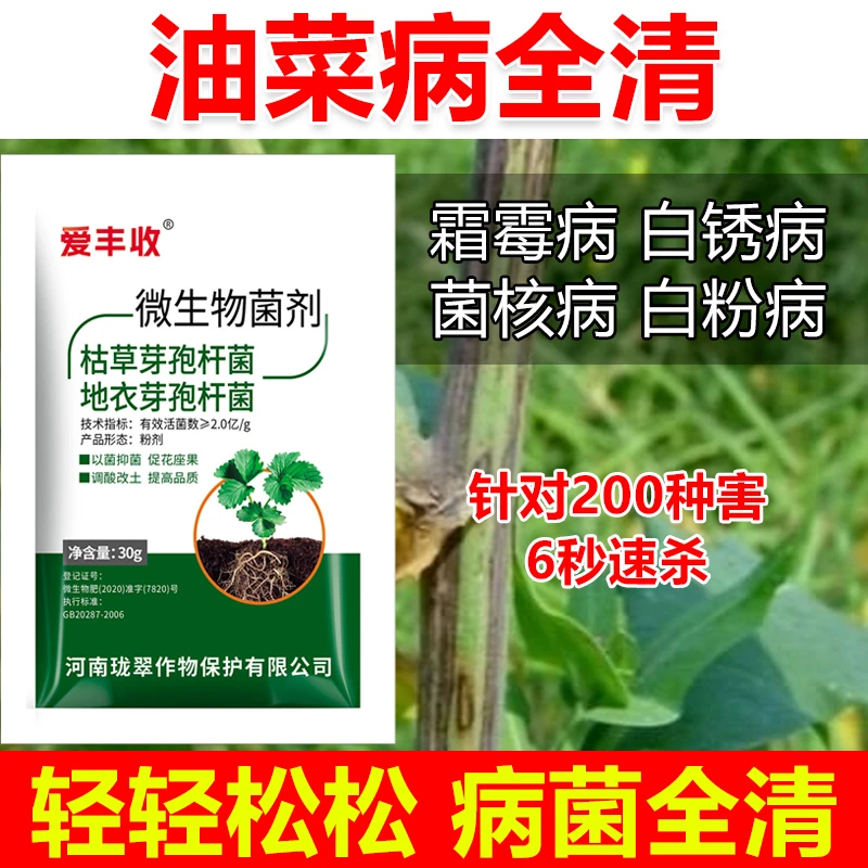 油菜病菌清油菜病全治油菜专用药油菜微生物菌剂油菜炭疽病软腐病