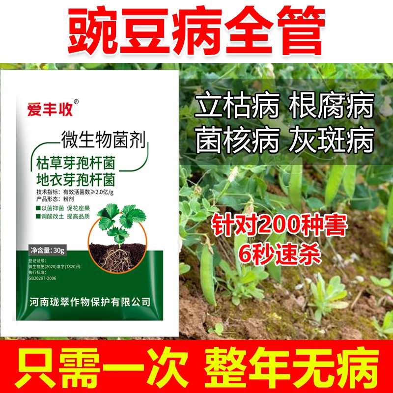 豌豆杀菌剂豌豆病全治豌豆专用药豌豆微生物菌剂豌豆立枯病根腐病