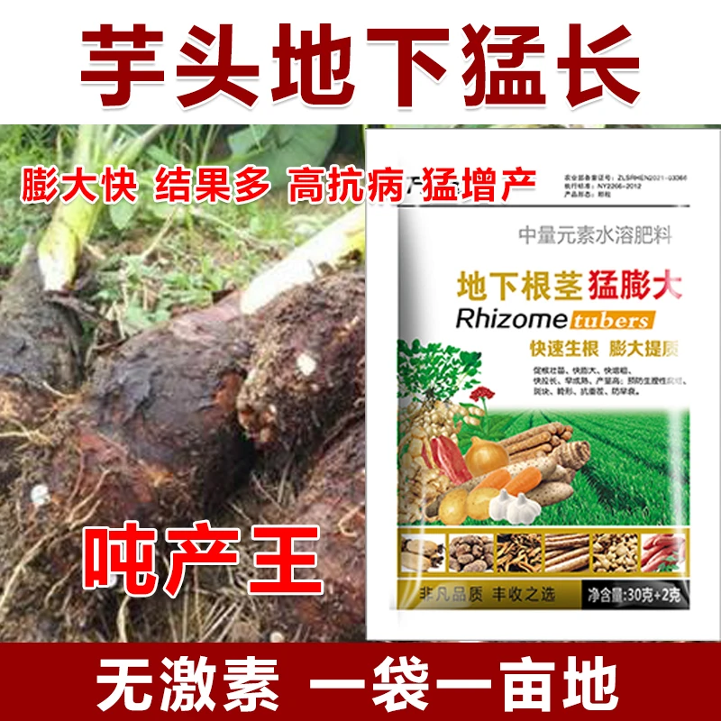 芋头膨大素芋头叶面肥膨大剂芋头万斤王增产抗病控旺防虫芋头猛长