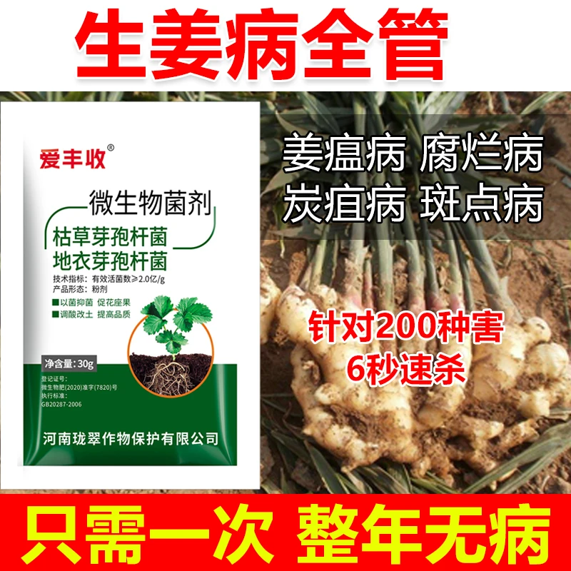 生姜杀菌剂生姜病全治生姜专用药生姜微生物菌剂生姜姜瘟病腐烂病