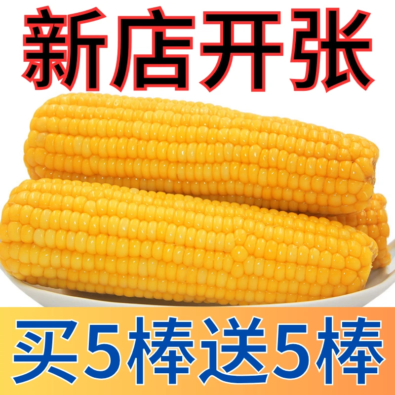 【买5根送5根】糯玉米东北玉米粘糯玉米新鲜甜糯东北黄粘糯玉米大棒