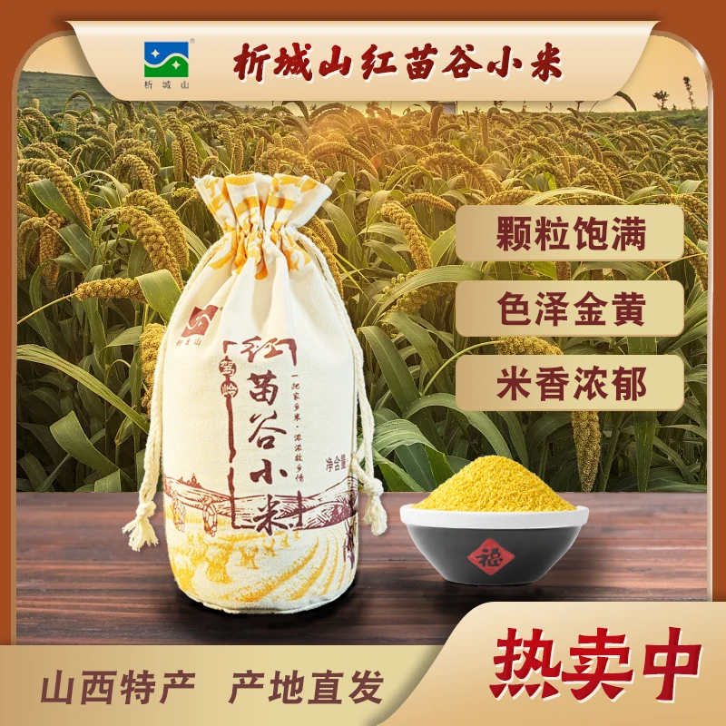 析城山红苗谷小米粥高海拔糯小米高品质黄小米