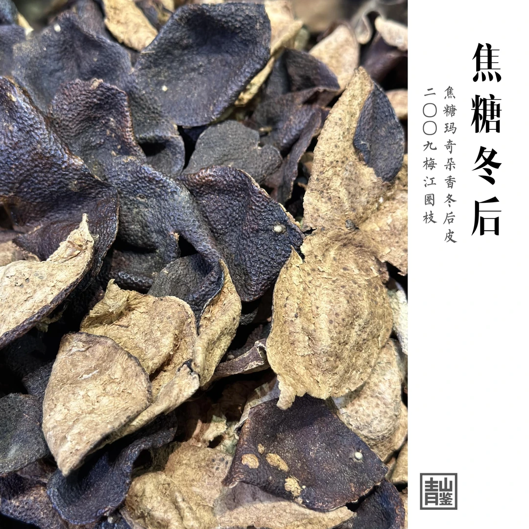 【孤品】《焦糖春见》2009梅江圈枝·焦糖玛奇朵香冬后皮