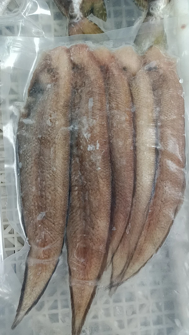 野生 龙利鱼 龙舌 3包