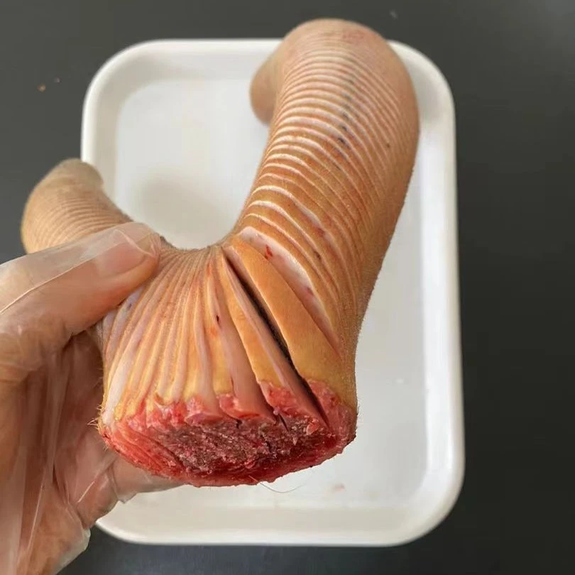 东北特产 鲜鹿茸 二杠鹿茸 直播间选购