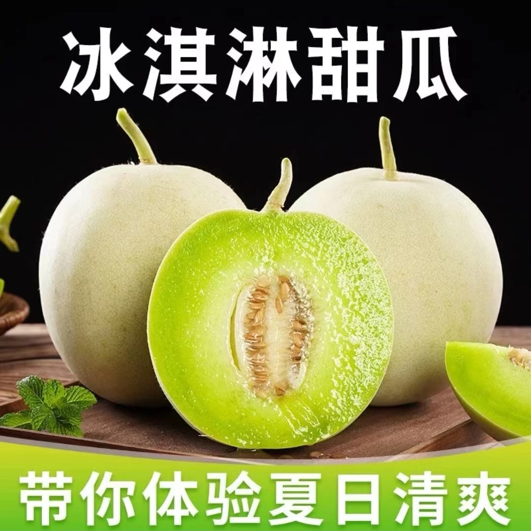 R冰淇淋玉菇甜瓜  新鲜自然成熟有大有小 坏果包赔