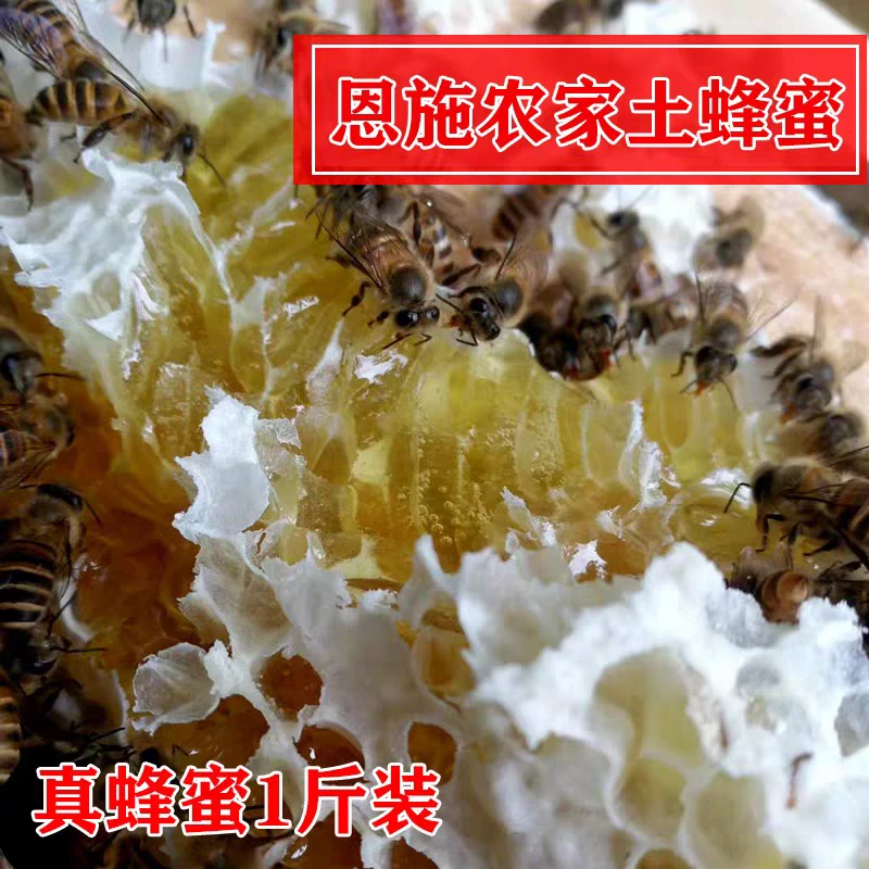 恩施高山土蜂蜜真蜂蜜农家深山散养蜂蜜天然蜂蜜散装百花蜜
