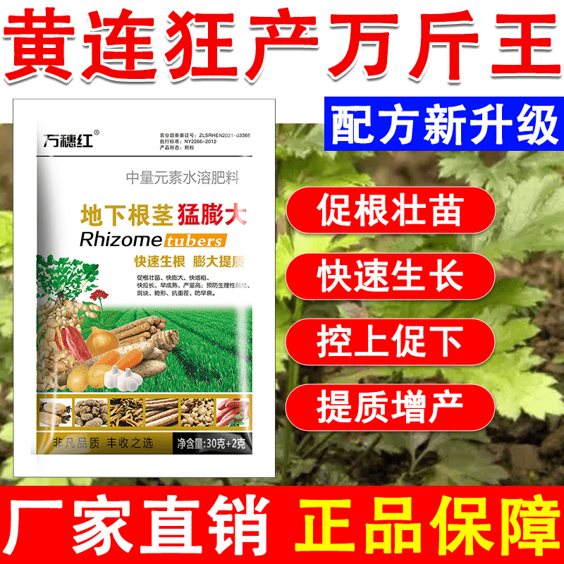 黄连肥料黄连专用叶面肥黄连叶面肥黄连膨大素黄连速长黄连增产