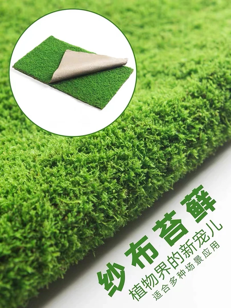 鲜活苔藓短绒藓水陆缸盆景吸水石造景微景观