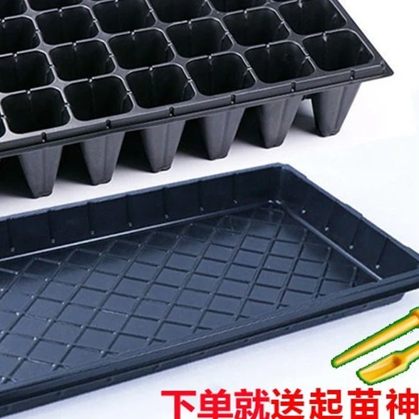 育苗盘育苗穴盘扦插盘育苗盆育苗神器蔬菜多肉营养盘育苗种植托盘