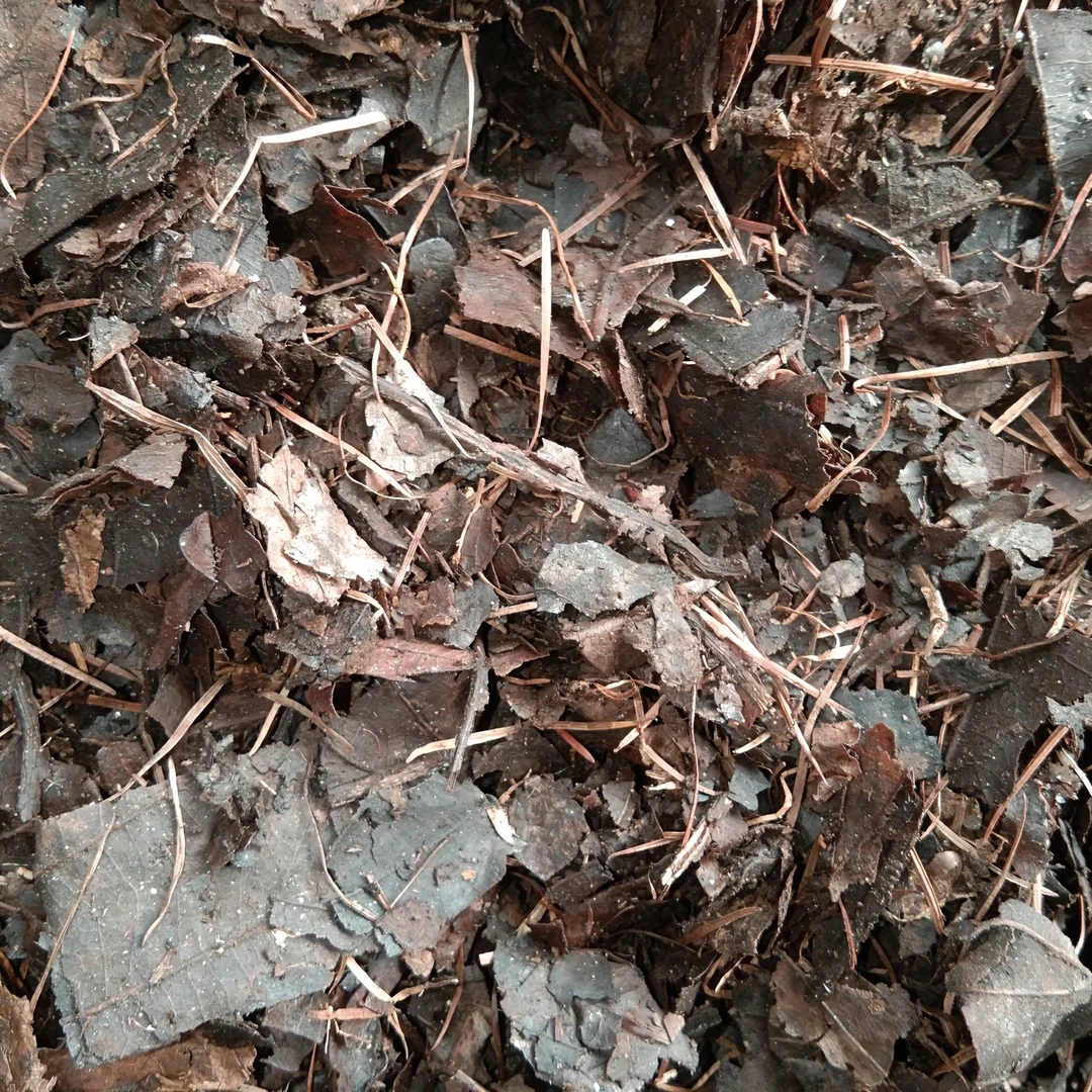 云南深山腐叶土兰花松针腐叶土养花绿植营养营养土园林花卉