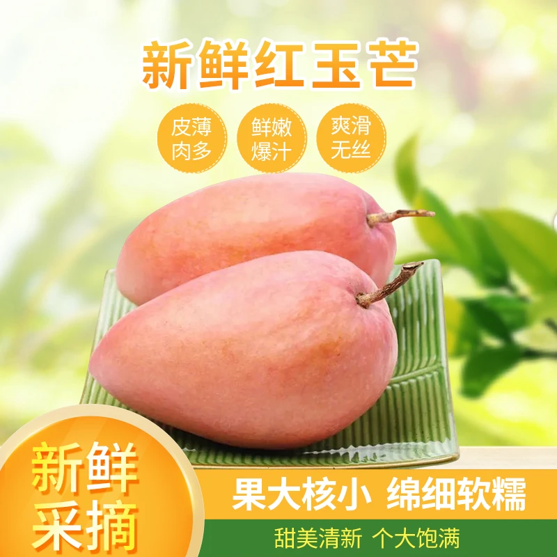 海南红玉芒玉文芒8斤精品礼盒核薄肉厚爆汁新鲜多汁产地直发