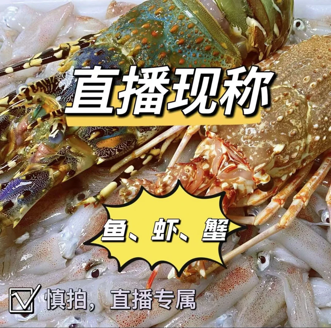 广东神泉港 海鲜代买3号