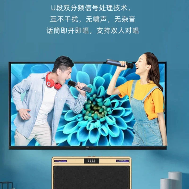 闻歌N-S09家庭电视K歌家庭KTⅤ无线双话筒重低音蓝牙音响光纤同轴