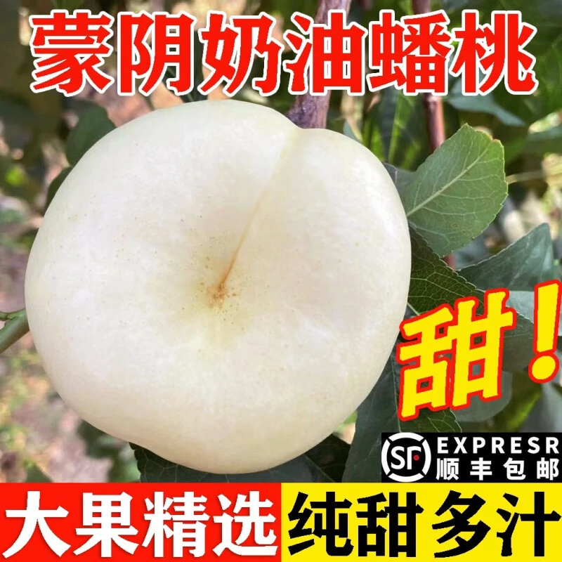 山东蒙阴 奶油蟠桃 油蟠桃 净重2-4斤装 顺丰包邮 产地直发大果