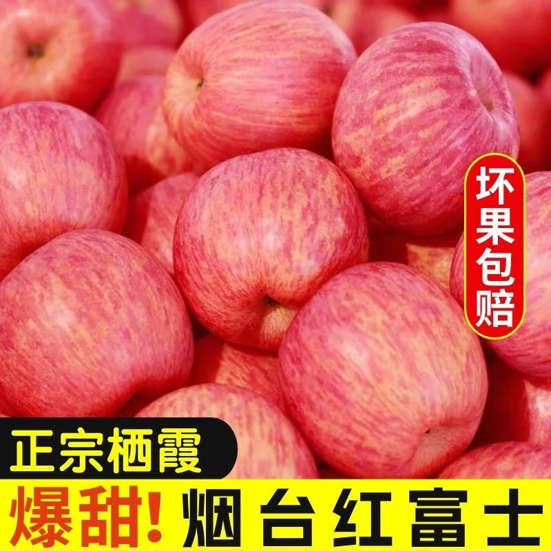 A正宗烟台红富士苹果产地直发脆甜多汁皮薄新鲜水果