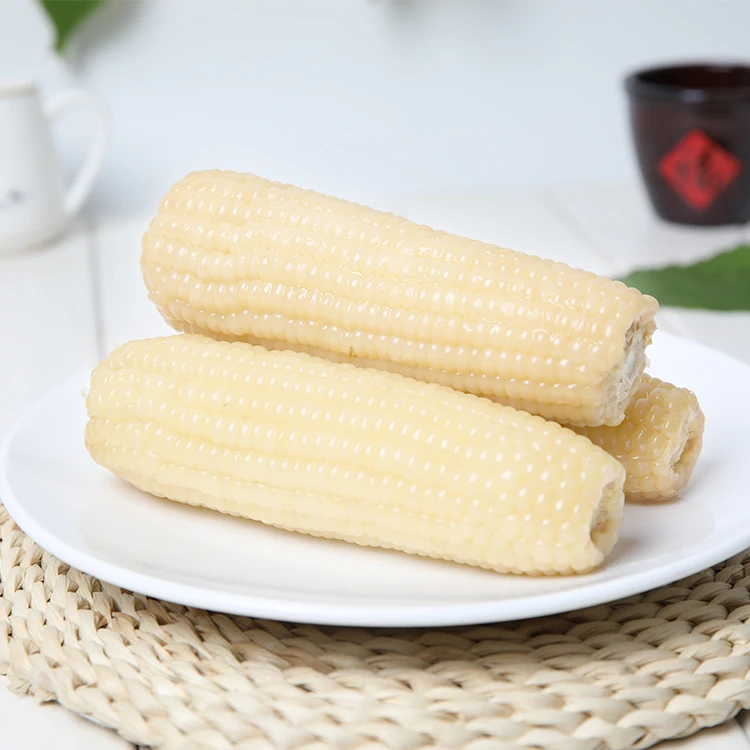 2023年东北白糯玉米 拍8送2直播间发10根 整箱5斤左右