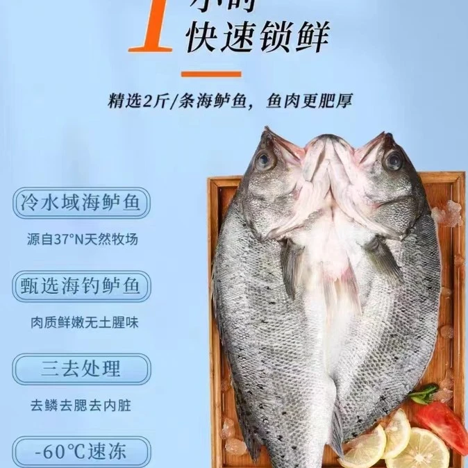 一撸鲜海鲈鱼2条1.6斤每条