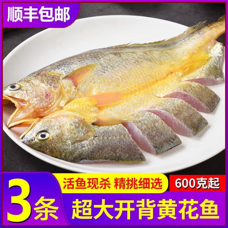 特大黄鱼鲞开背大黄鱼黄花新鲜冷冻去鳞去鳃去内脏内现600克包邮
