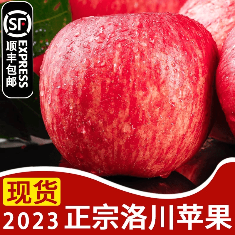 【2023年新果】正宗洛川红富士苹果脆甜多汁现摘现发2斤5斤10斤好