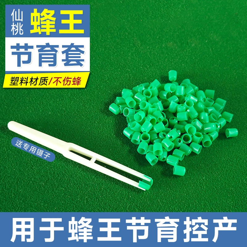 中意蜂通用节制器控制蜜蜂王产卵节育器套送塑料专用镊子养蜂工具