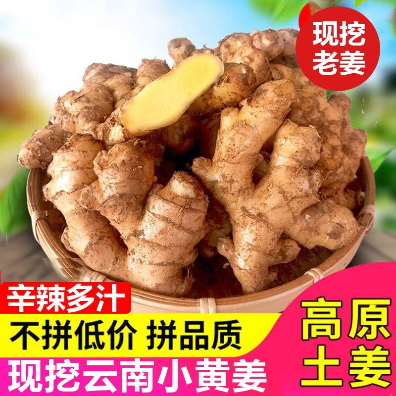 云南正宗小黄姜生姜老姜新鲜现挖老土姜月子姜新姜种植品质营养