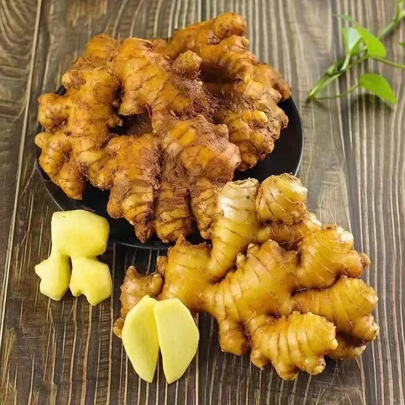 正宗黄姜云南新鲜生姜1-9斤批发小黄姜云南蔬菜云南小黄姜浓郁