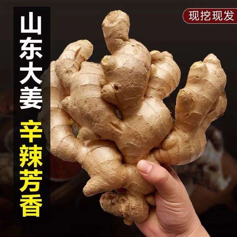 生姜山东特产大黄姜老姜带泥新鲜月子姜黄姜现挖鲜姜母蔬菜包邮