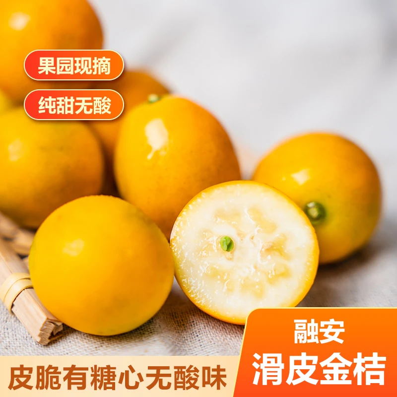 【顺丰包邮】广西融安金桔滑皮金桔当季新鲜水果纯甜小金橘