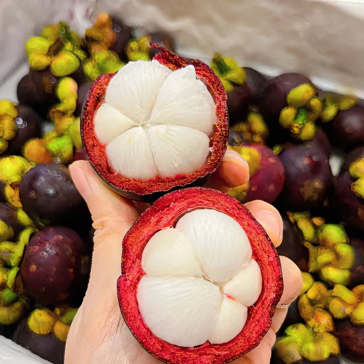 【泰国沙皮山竹】清甜不腻 果肉雪白 新鲜采摘 好果率高 5A大果顺丰