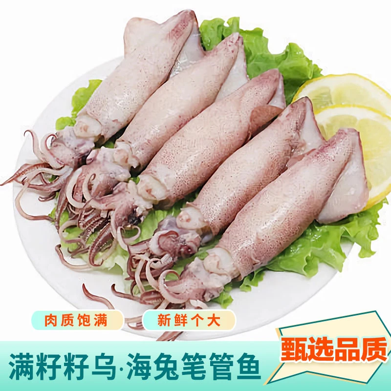 海兔满籽鲜活鲜冻全籽籽乌 200g/盒*5盒